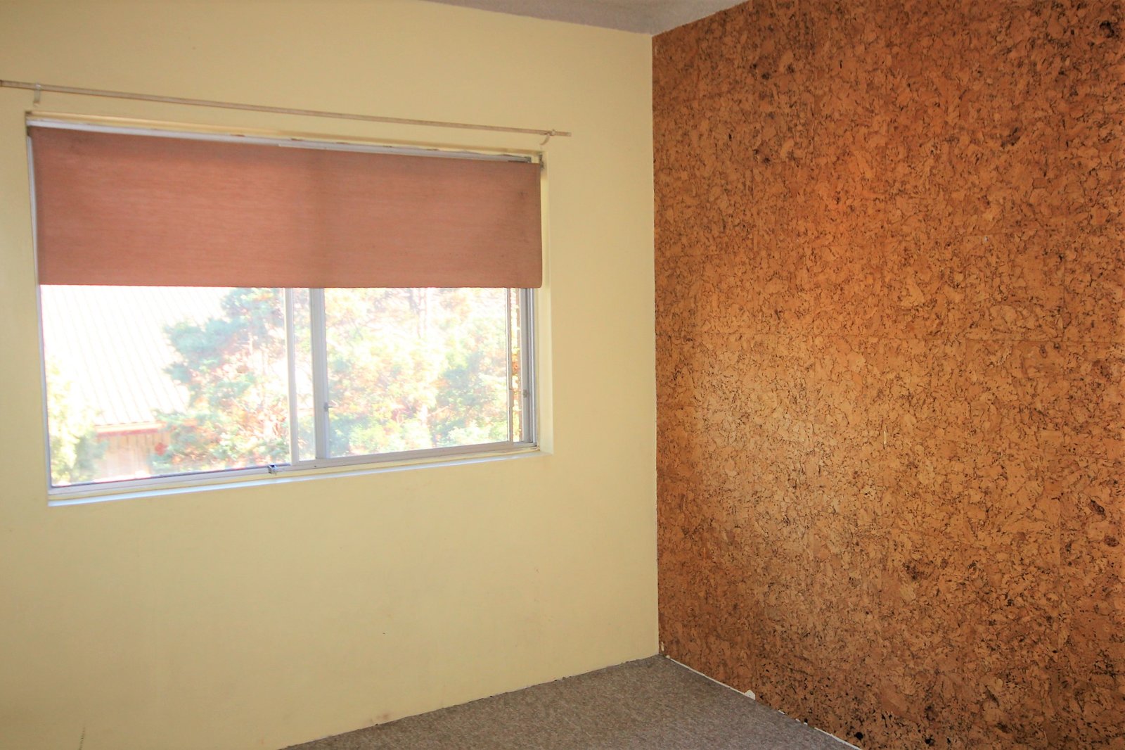 11/61 Wolseley Street BEXLEY 9