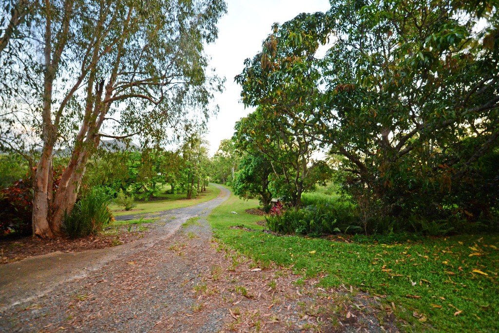 1167 Gregory Cannon Valley Road SUGARLOAF 17