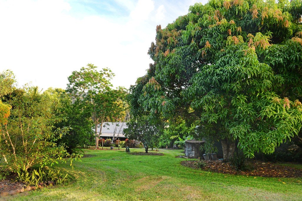 1167 Gregory Cannon Valley Road SUGARLOAF 18