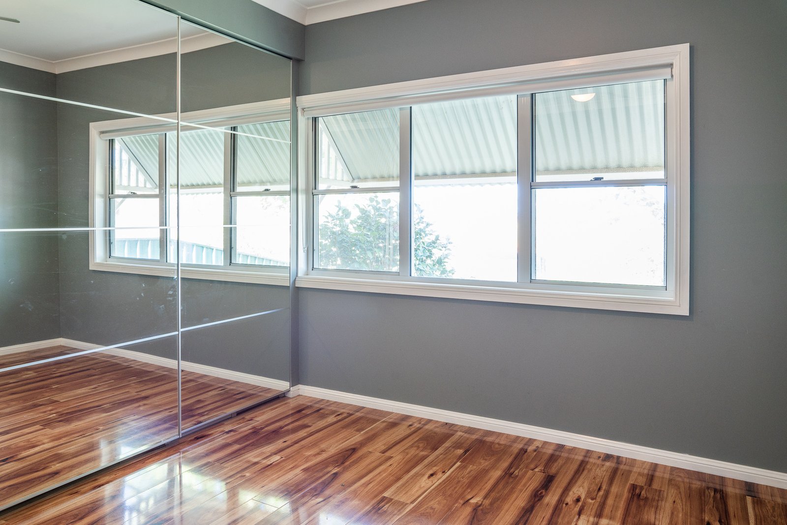 117 Beckwith Street WAGGA WAGGA 6