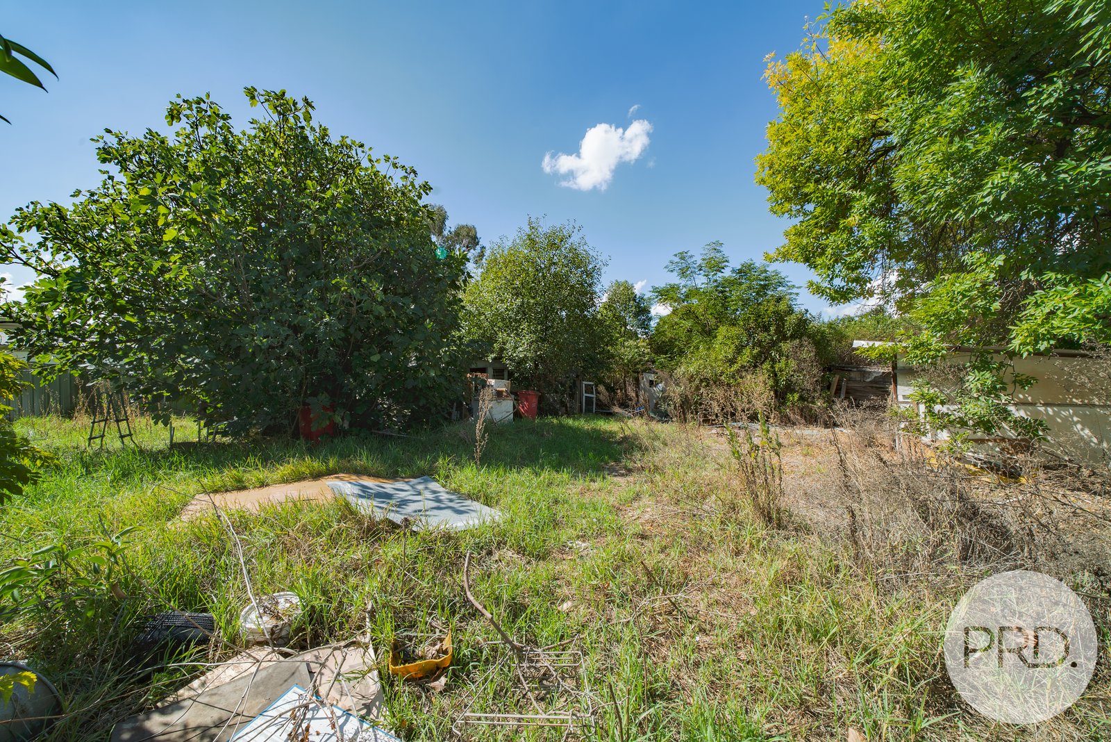 117 Grove Street KOORINGAL 3