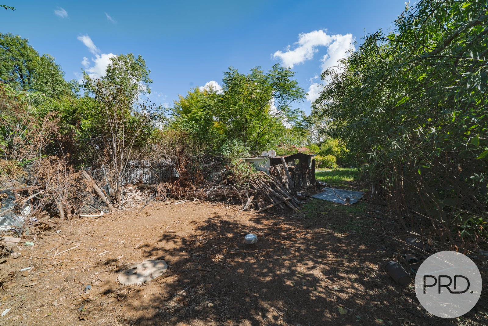 117 Grove Street KOORINGAL 4