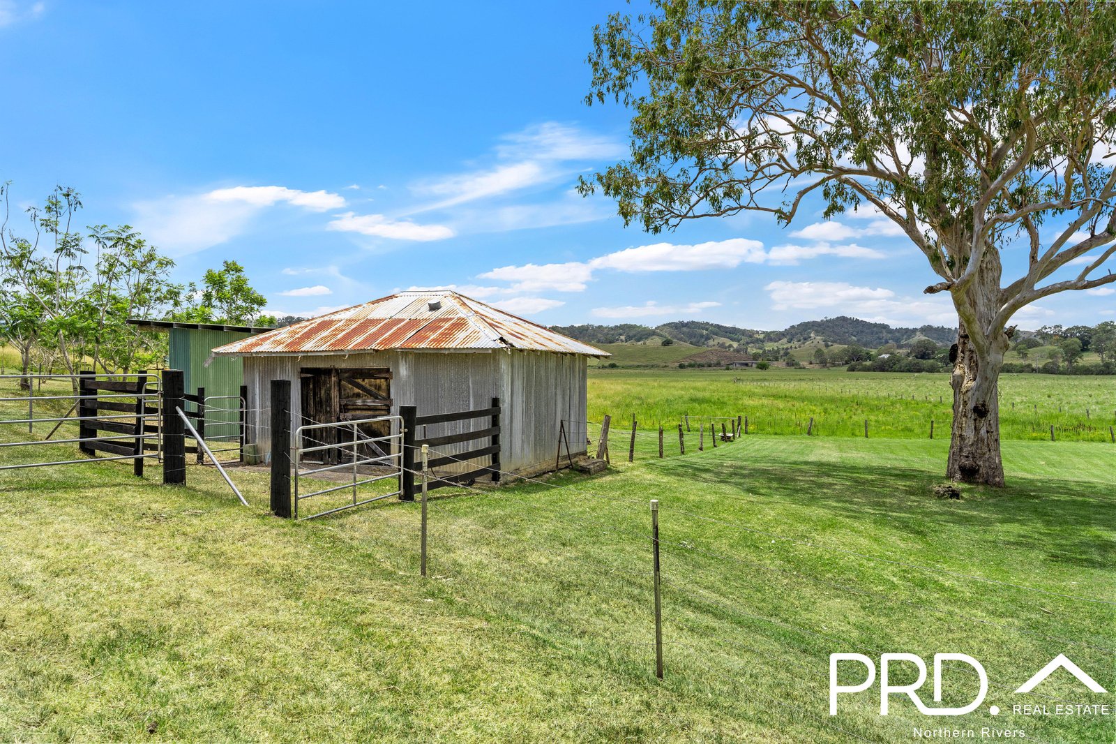 117 Homestead Road KILGRA 14