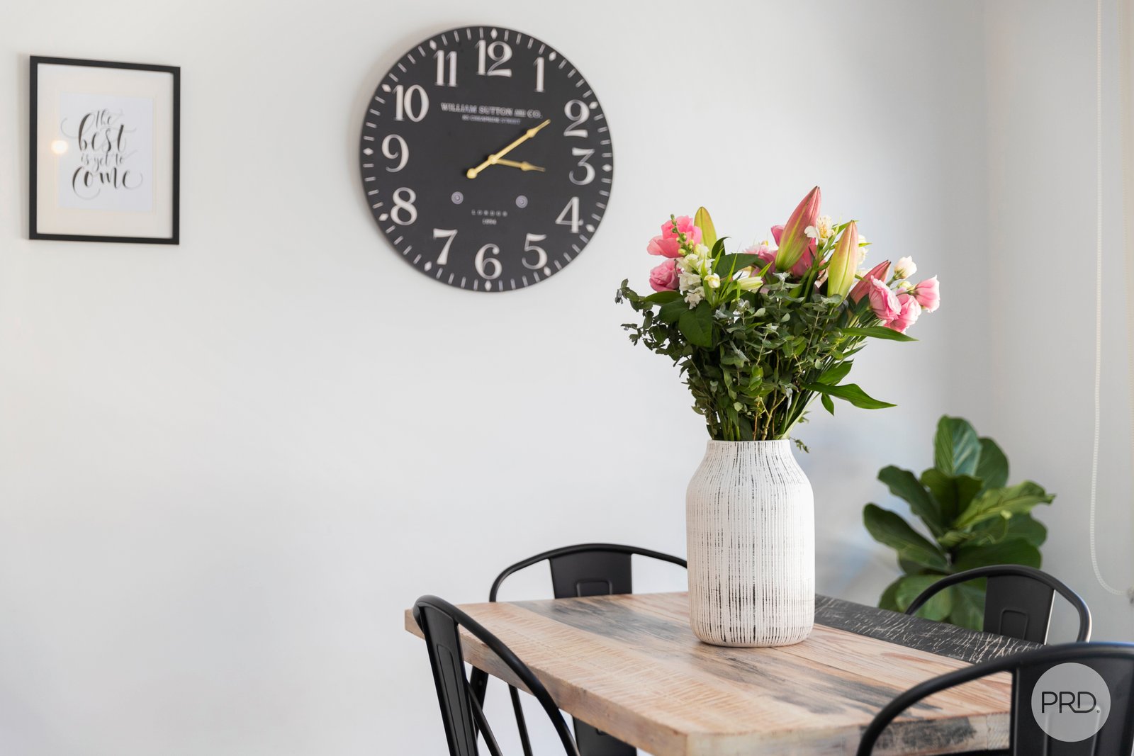 117 Kossuth Street SEBASTOPOL 12