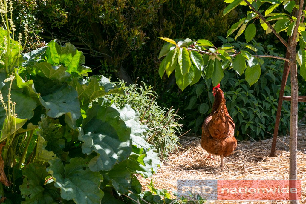 117 Lexton Street LAKE WENDOUREE 25