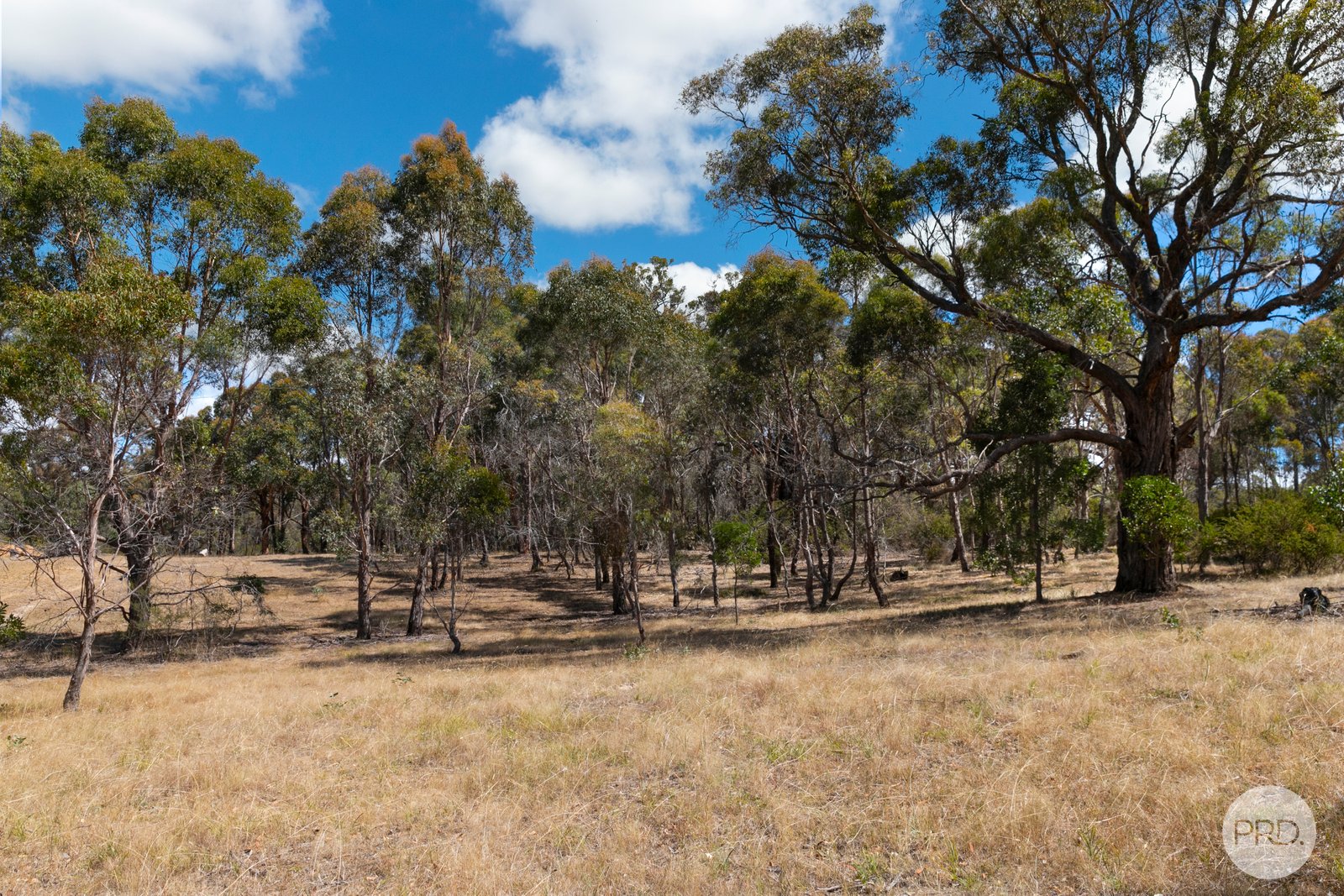 117 Packhams Lane BEAUFORT 22