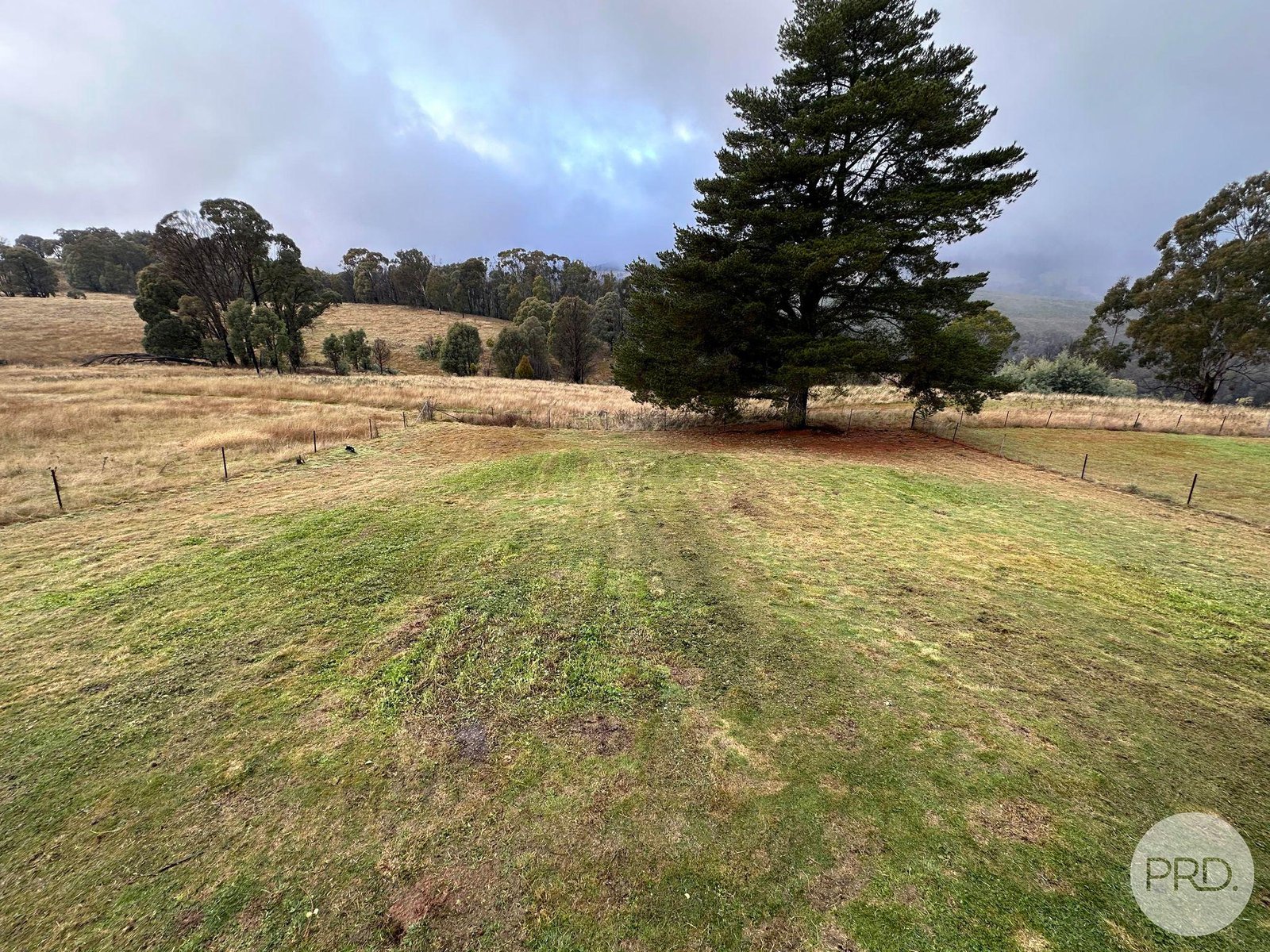 1174 Batlow Road TUMBARUMBA 12