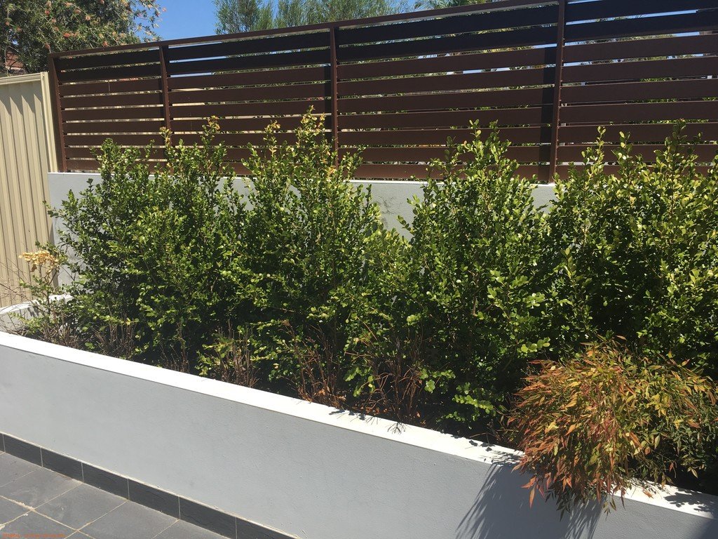 11/76-78 Jones Street KINGSWOOD 8