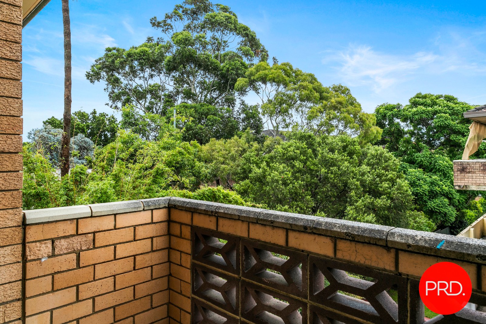 11/78-80 Carlton Parade CARLTON 10