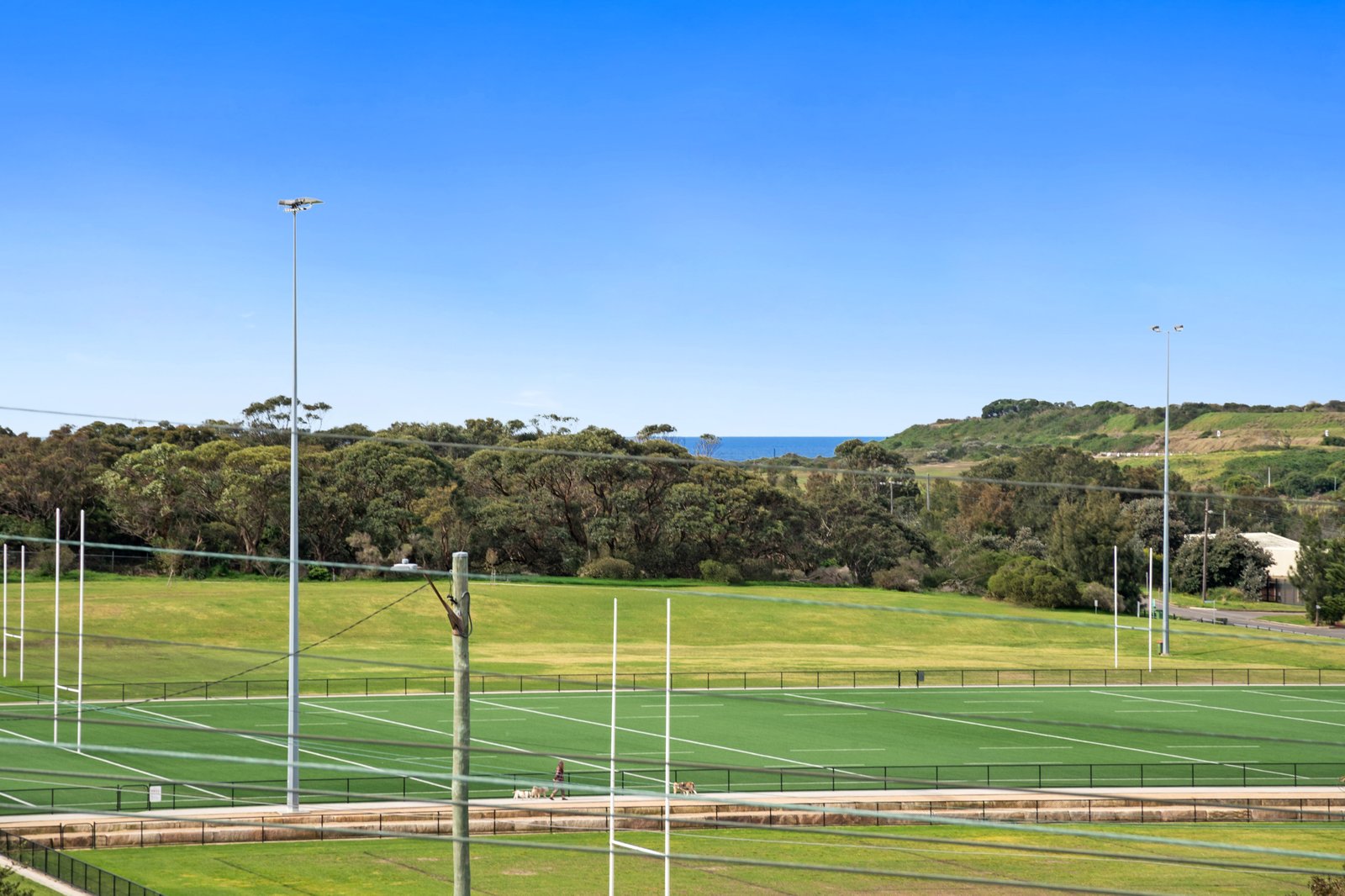 1179 Anzac Parade MATRAVILLE 6