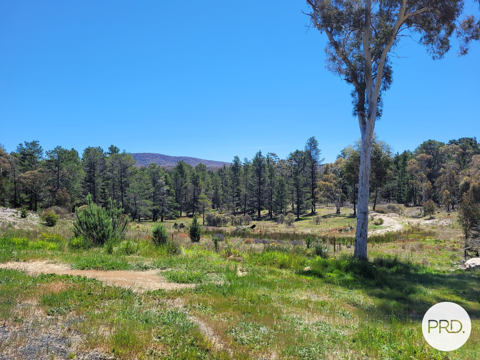 1179B Boro Road LOWER BORO 12