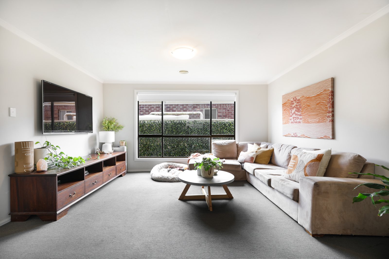 Gallery: 117B Adair Street