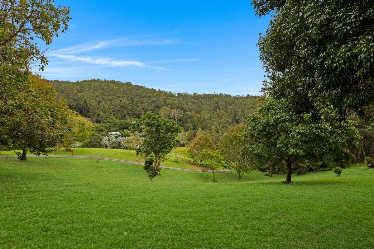 117B Petsch Creek Road Tallebudgera Valley 5