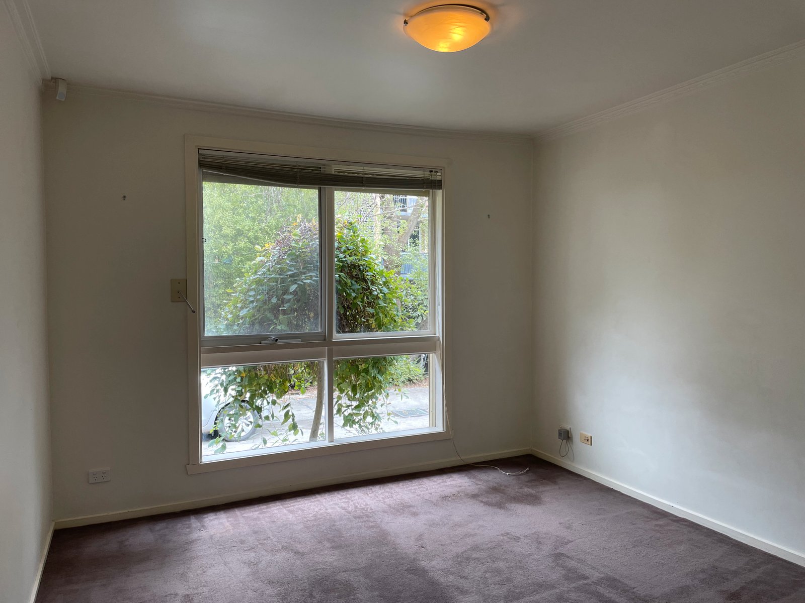 Gallery: 1/18 Blandford Street