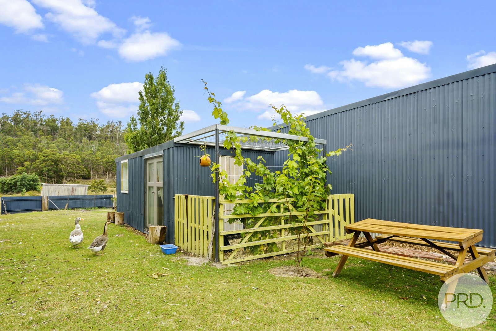 118 Ellendale Road WESTERWAY 27