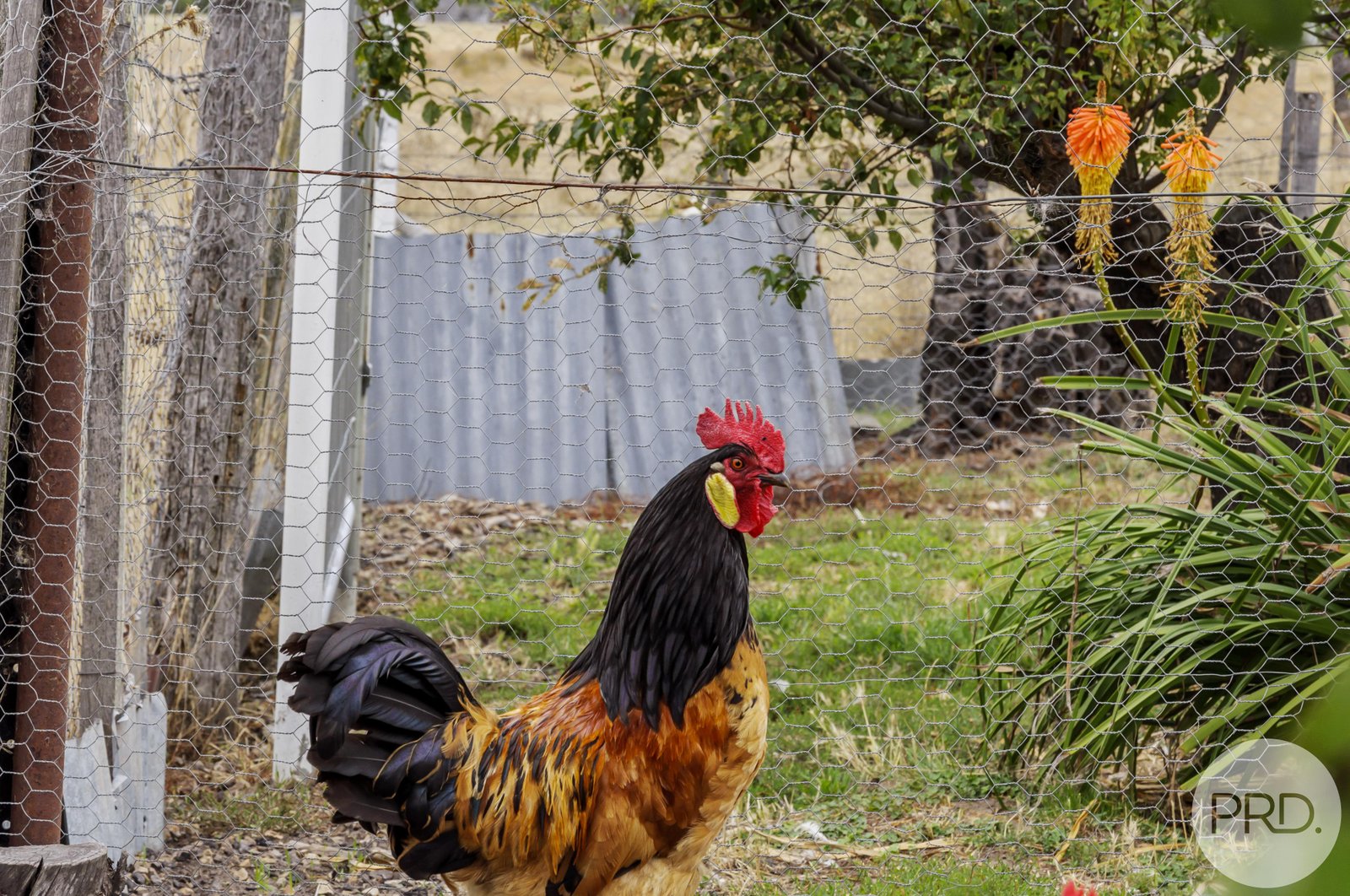 118 Ellendale Road WESTERWAY 30