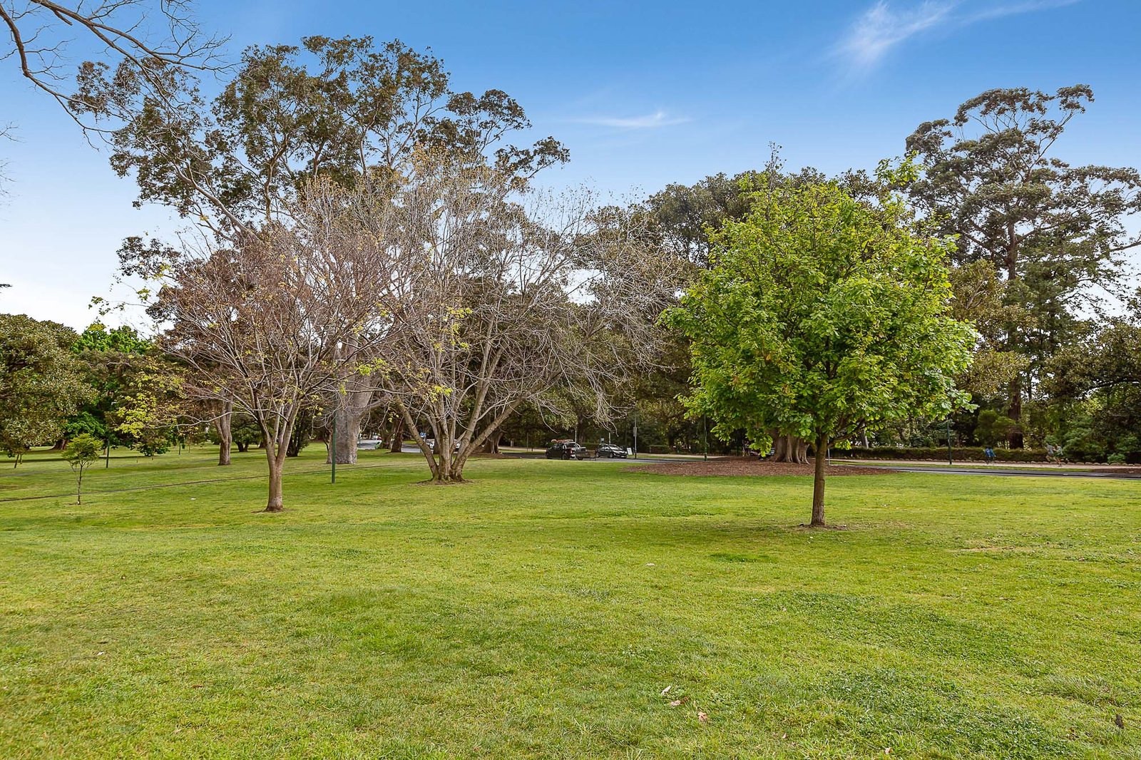 Real Estate and Property in 118 Hope Street, South Yarra, VIC