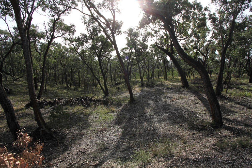 118 Station Lane CARNGHAM 19