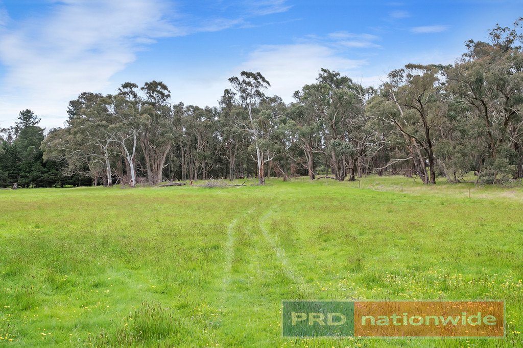 1180 Glenelg Highway NINTINGBOOL 14