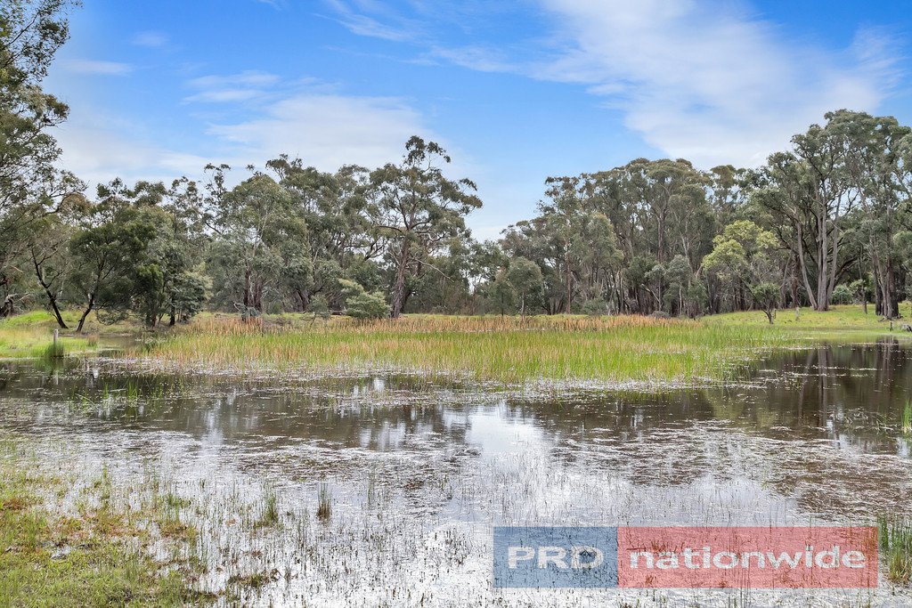 1180 Glenelg Highway NINTINGBOOL 15