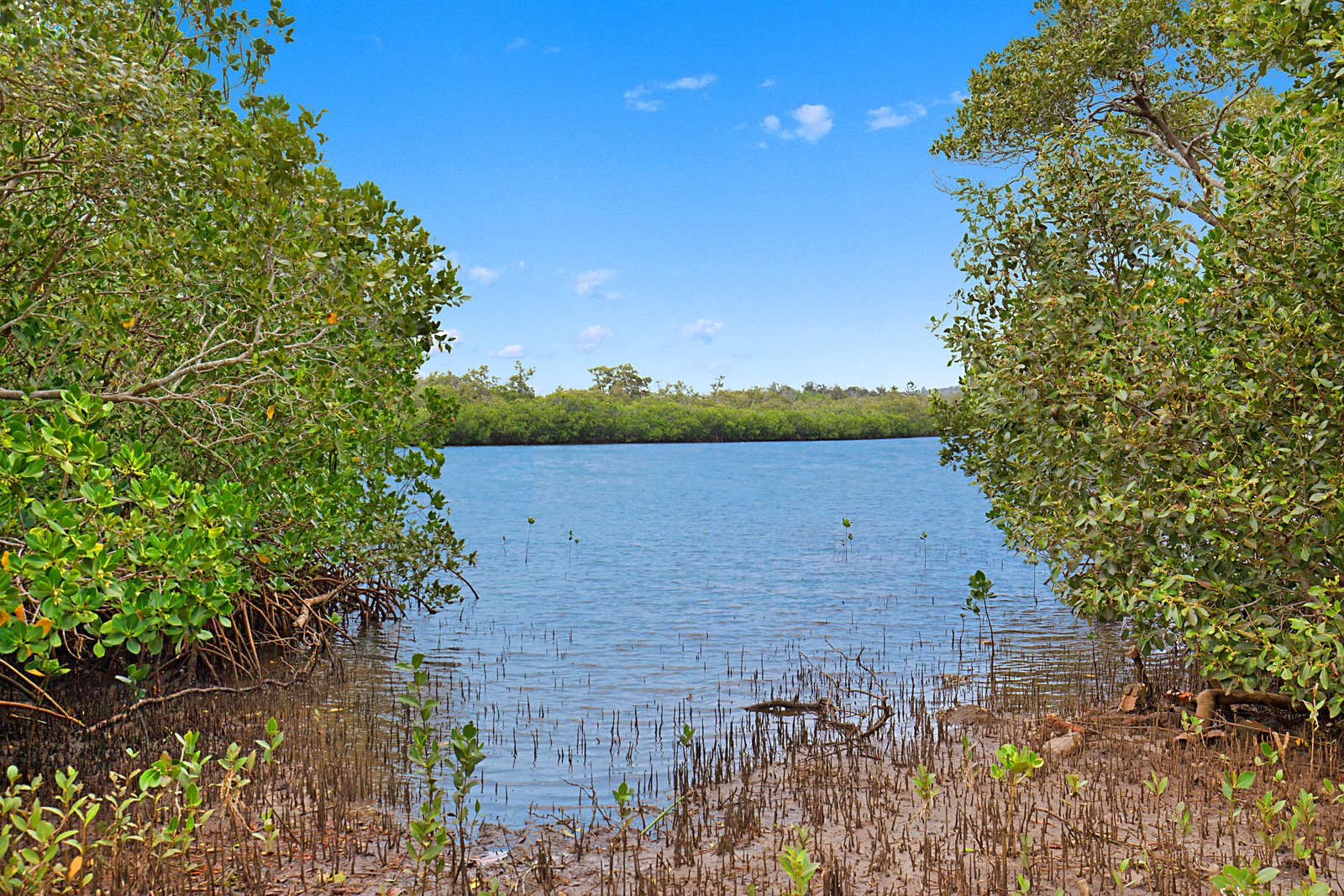 1/182-184 Kennedy Drive TWEED HEADS WEST 10