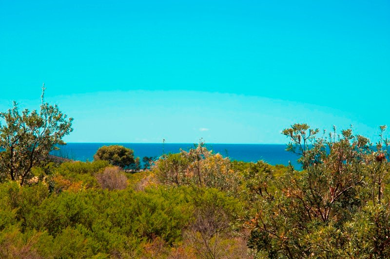 11/83 Broome Street MAROUBRA 5