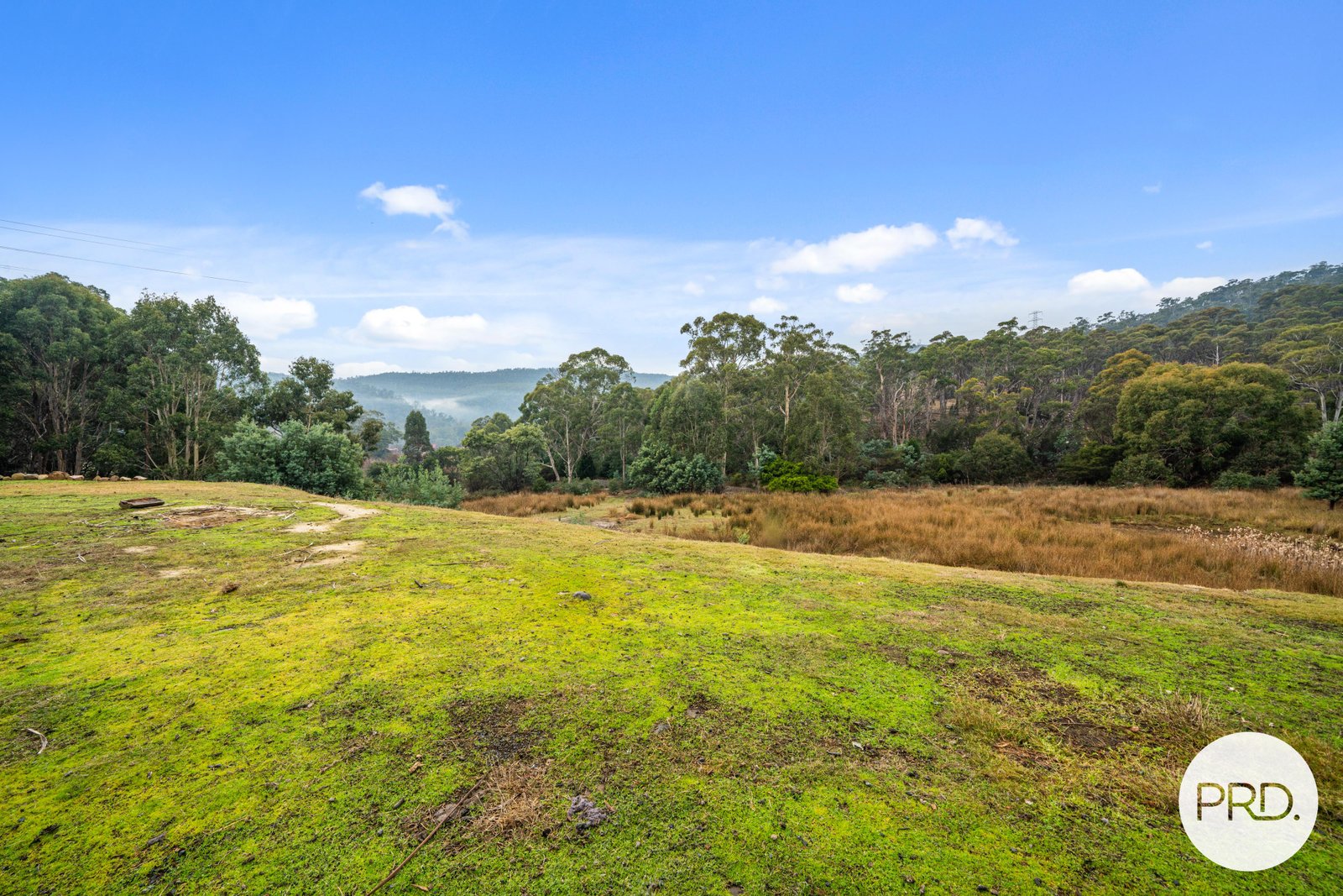 1184 Collins Cap Road MOLESWORTH 17