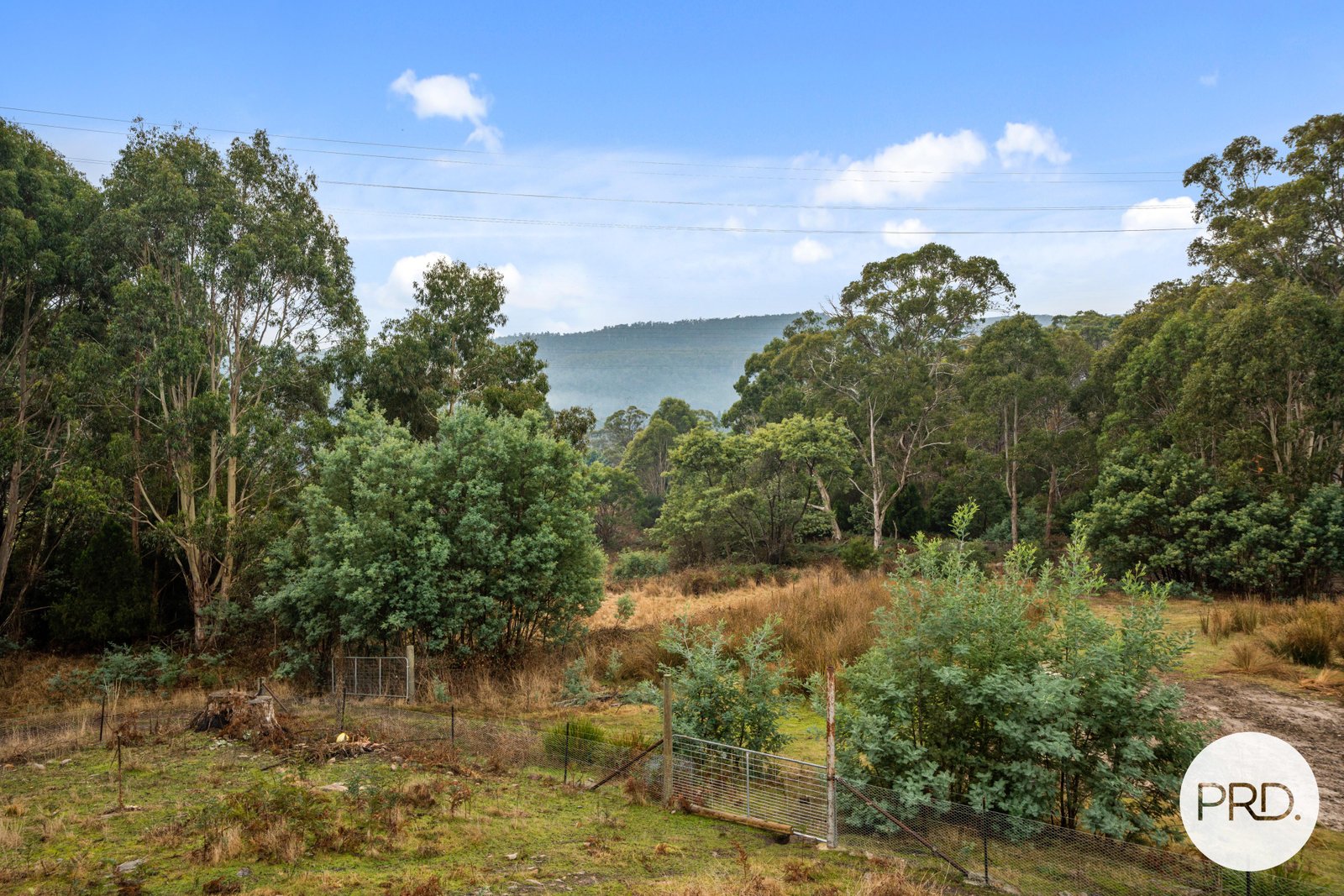 1184 Collins Cap Road MOLESWORTH 18