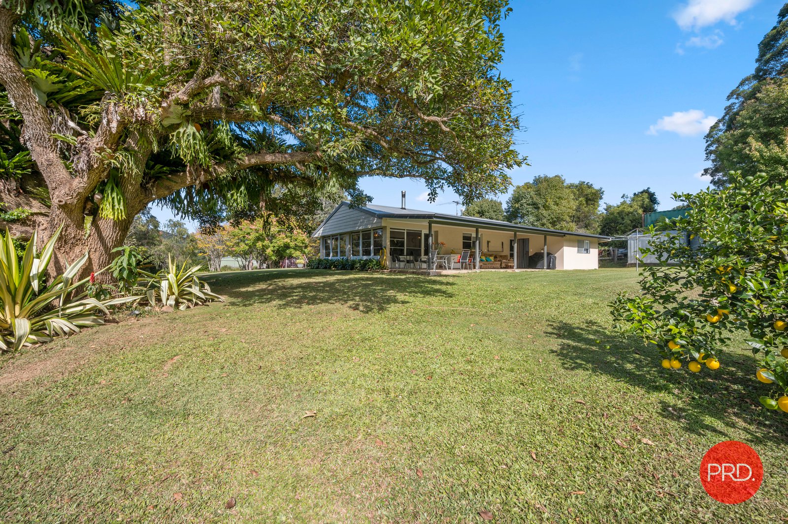 1188 Coramba Road CORAMBA 22