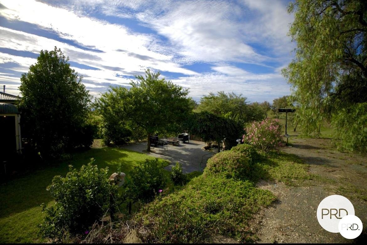 119 Allambie Road STUART TOWN 7