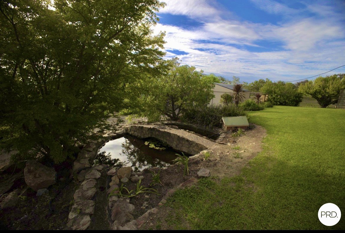 119 Allambie Road STUART TOWN 9