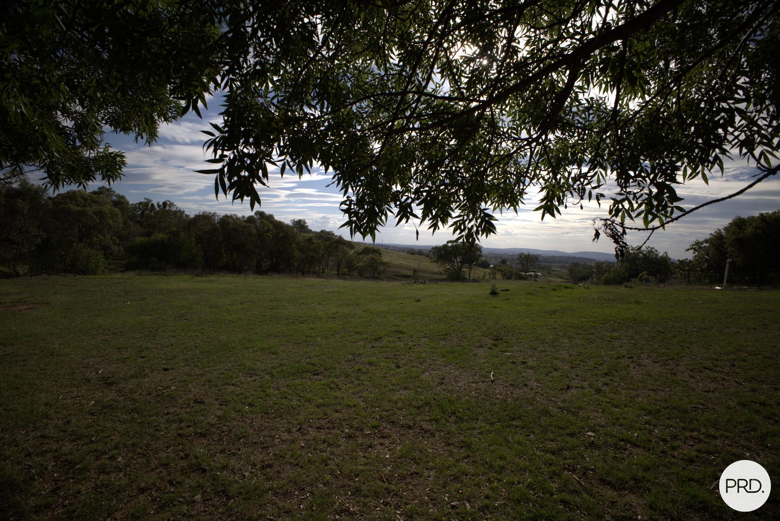 119 Allambie Road STUART TOWN 12