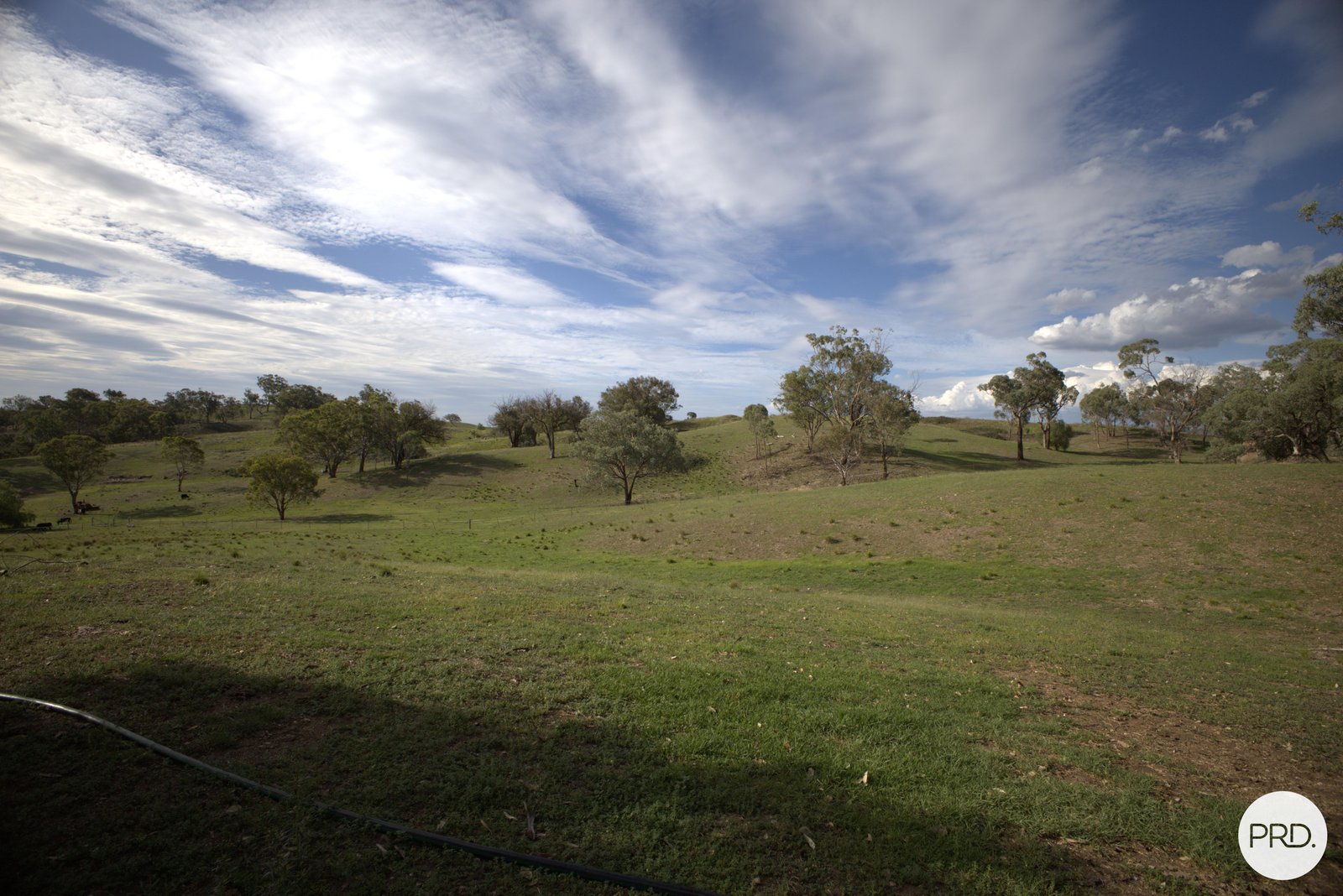 119 Allambie Road STUART TOWN 14