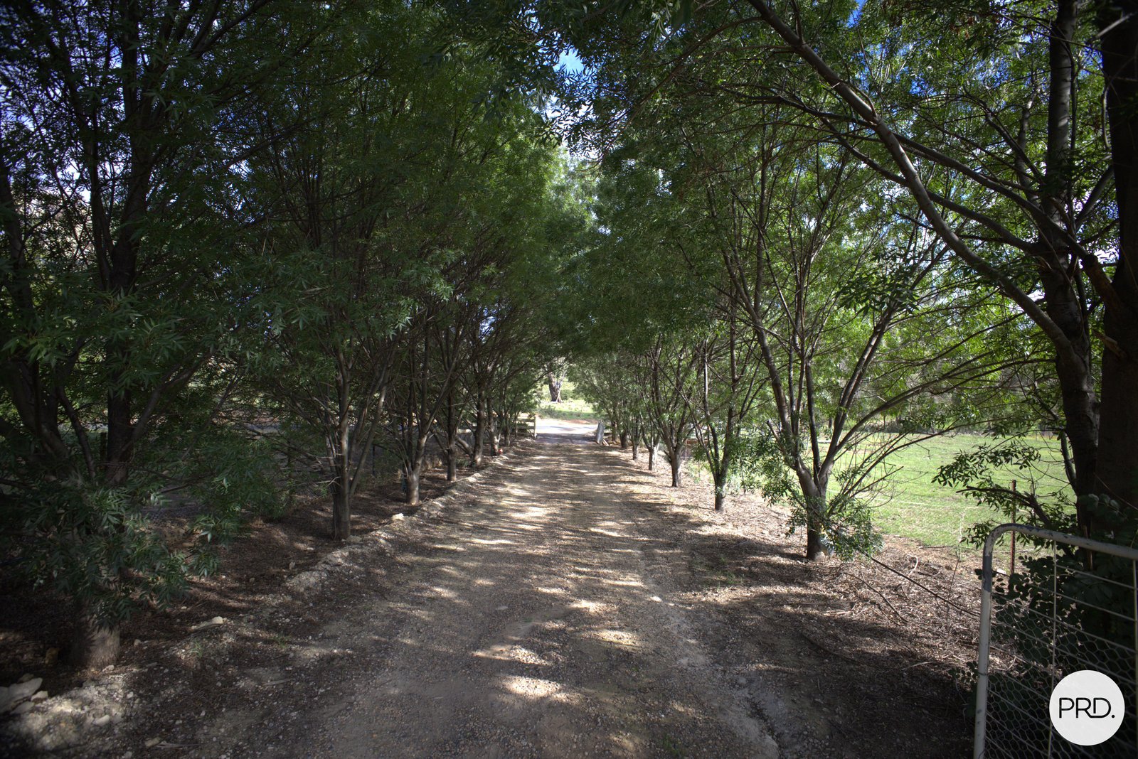 119 Allambie Road STUART TOWN 20