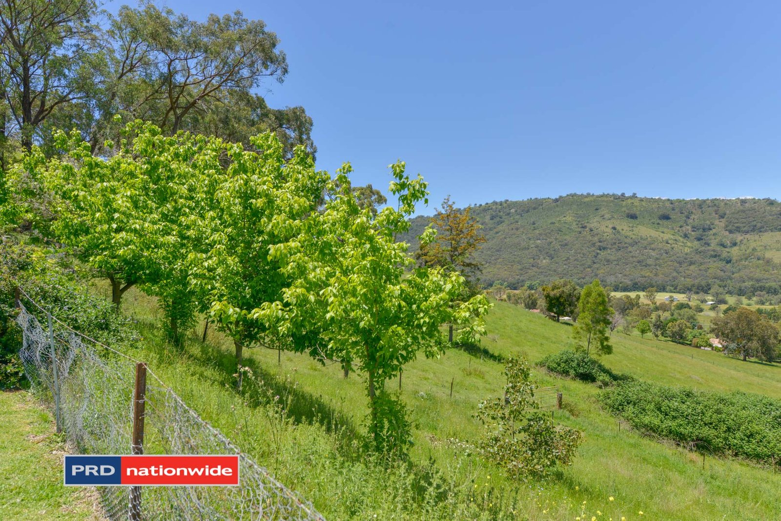 119 Allawah Road OGUNBIL 20