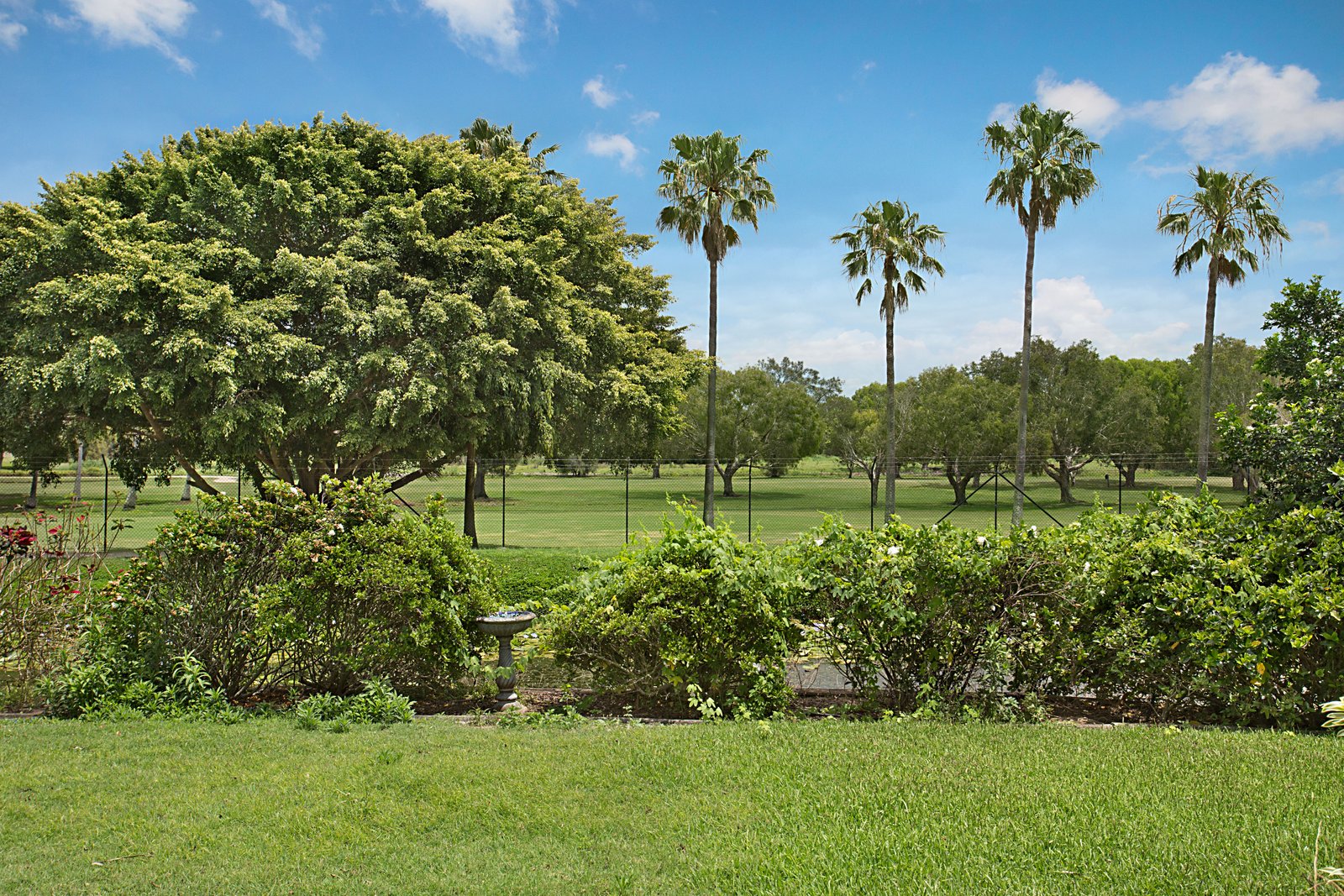 119 Darlington Drive BANORA POINT 13