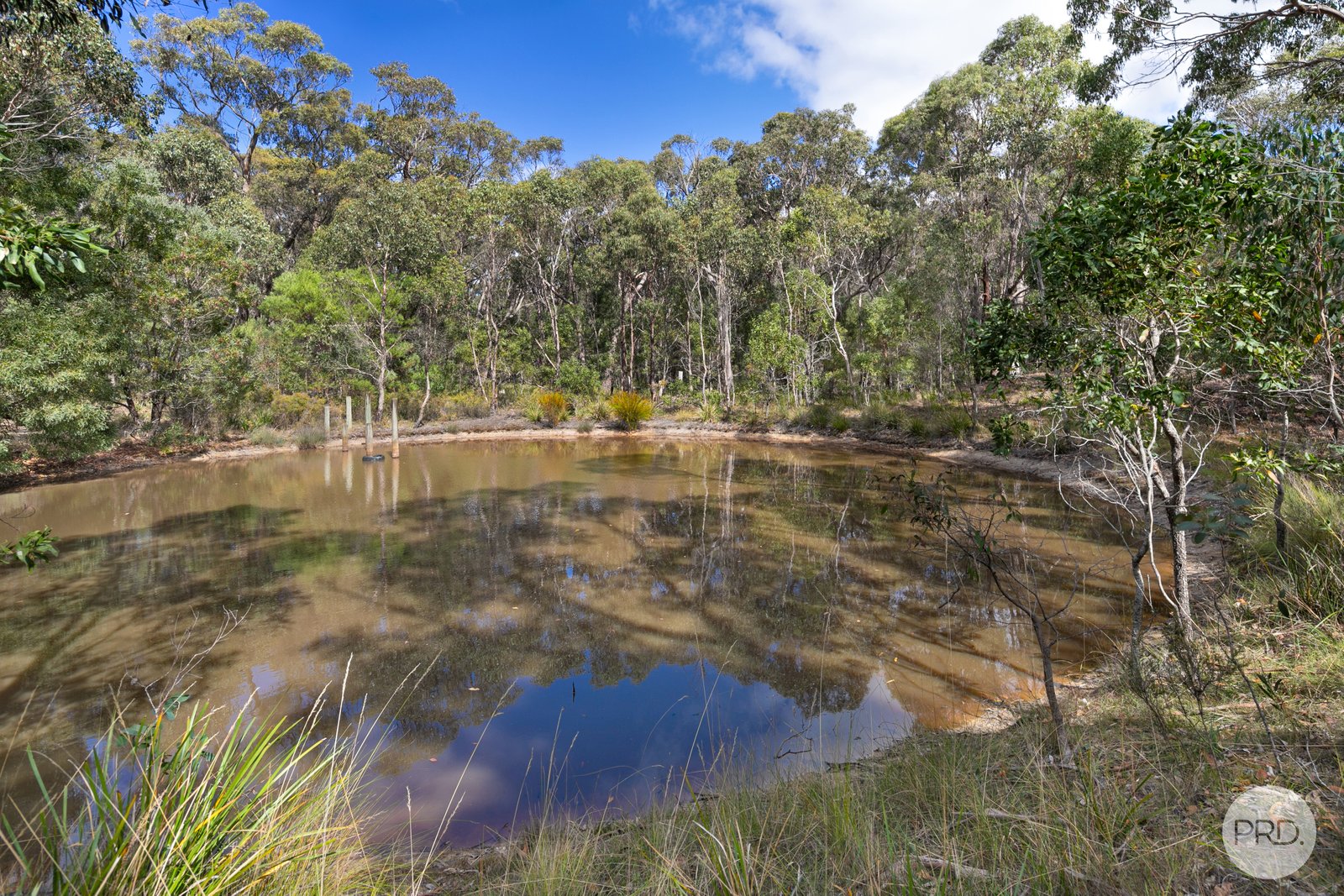 119 Reservoir Road ROSS CREEK 12