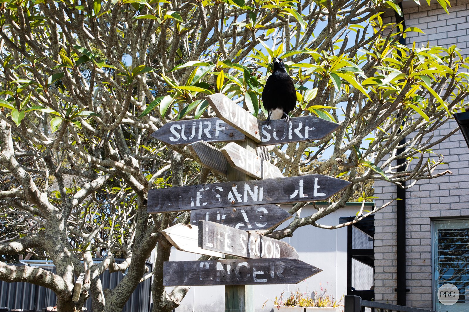 119 Stockton Street NELSON BAY 24