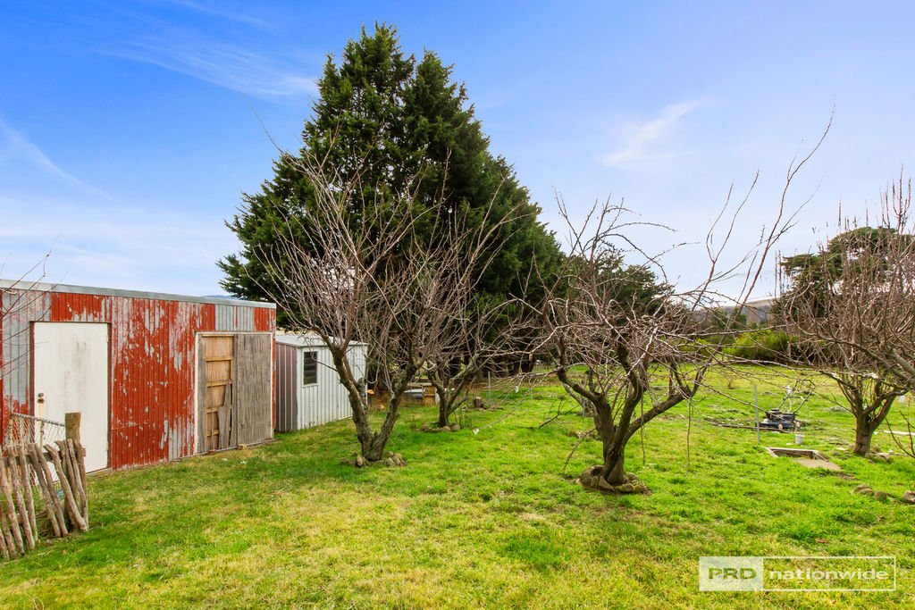 119 Stonefield Road BRIGHTON 19