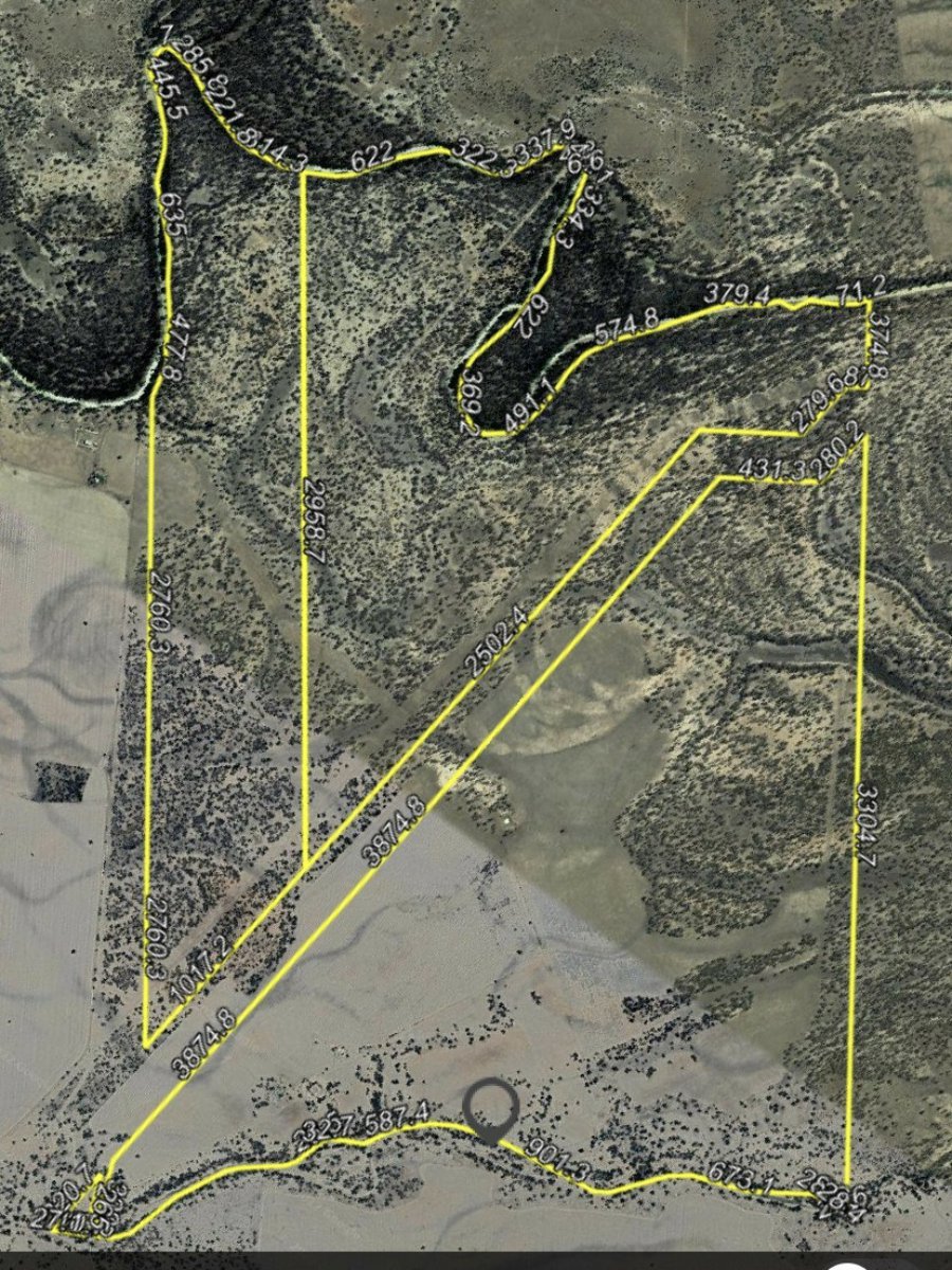 1195 Mercadool Road WALGETT 2