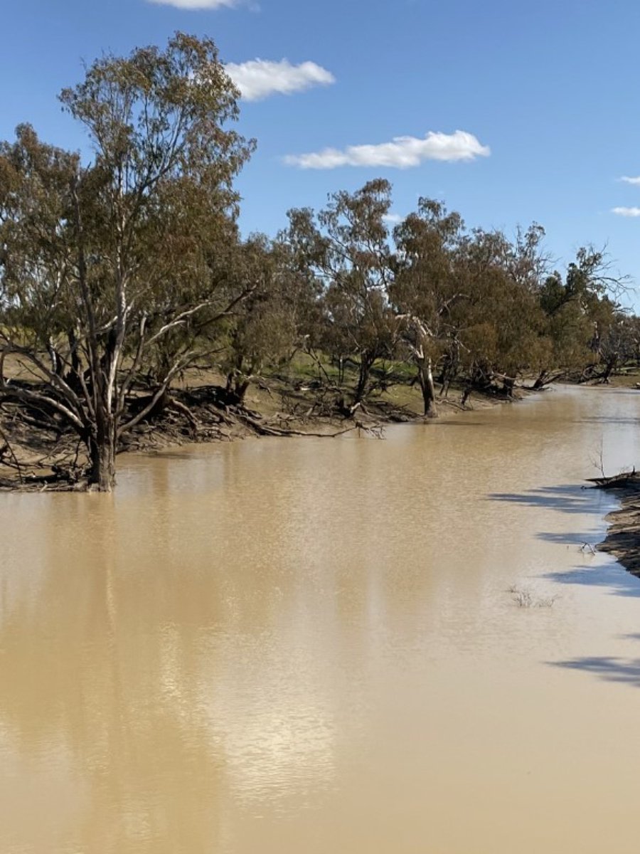 1195 Mercadool Road WALGETT 4