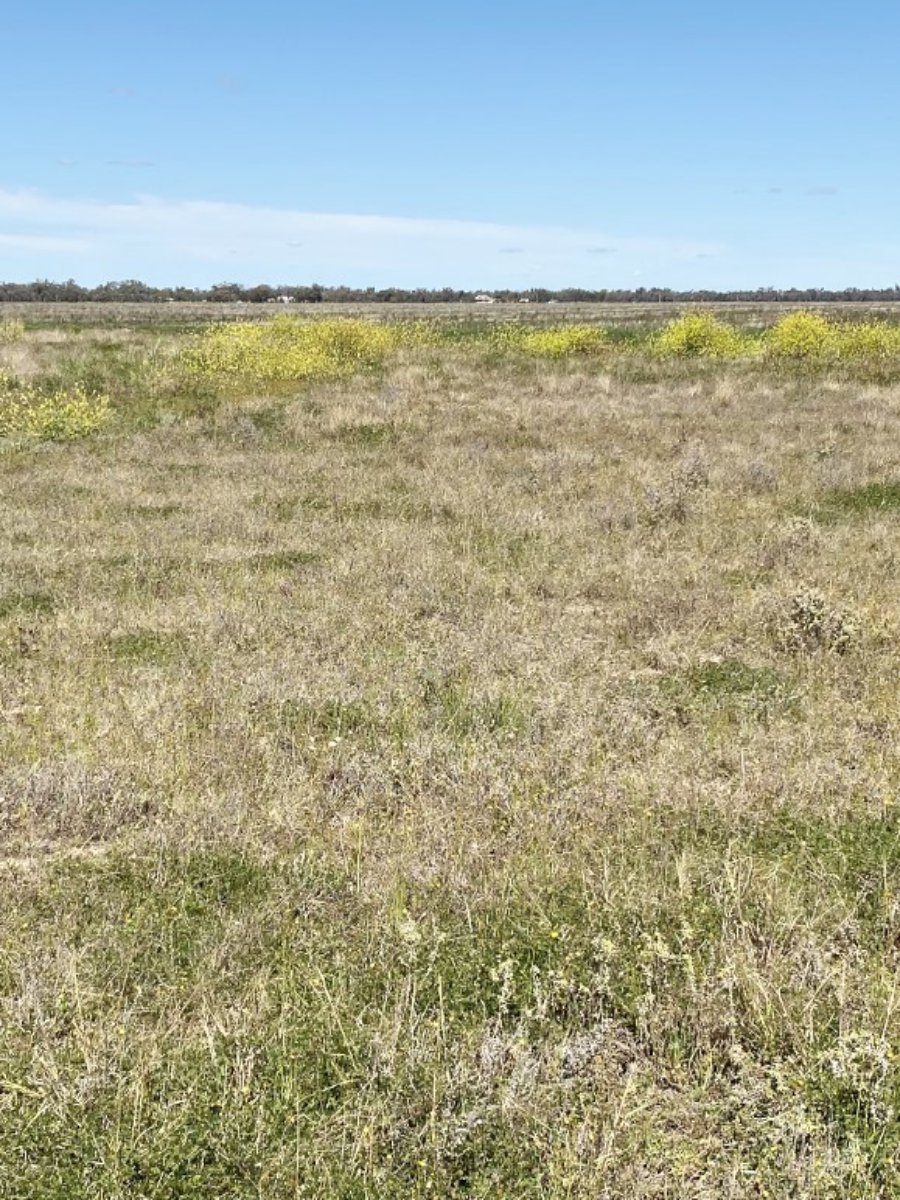 1195 Mercadool Road WALGETT 5