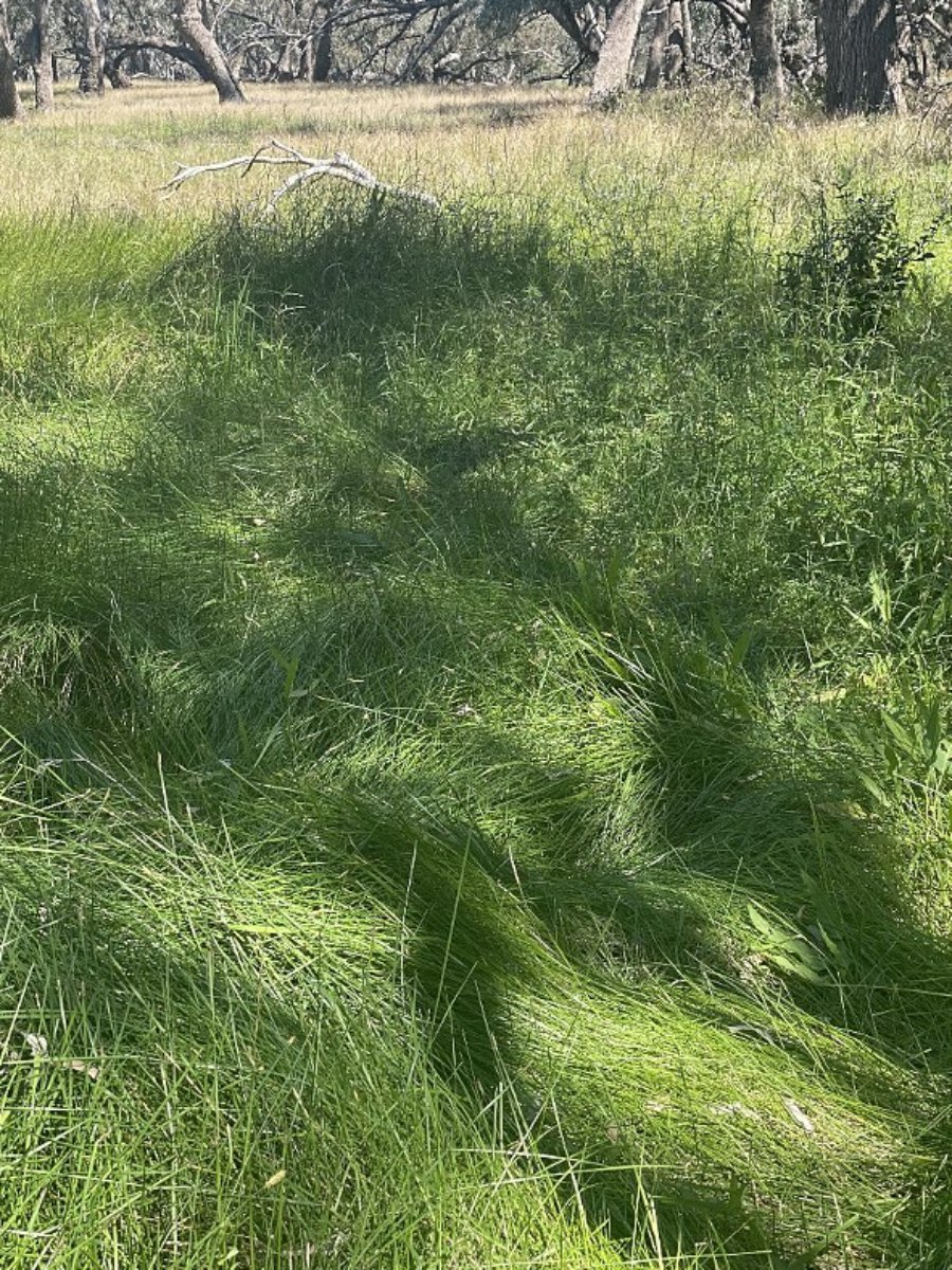 1195 Mercadool Road WALGETT 7