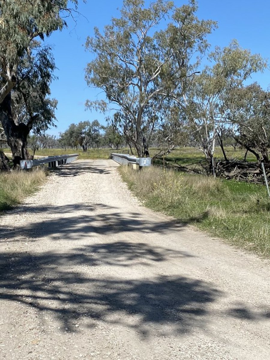 1195 Mercadool Road WALGETT 8