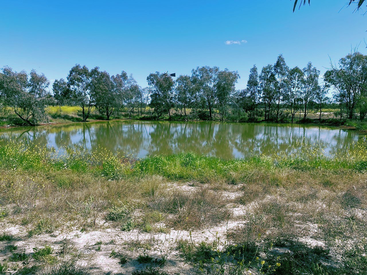 1195 Mercadool Road WALGETT 9