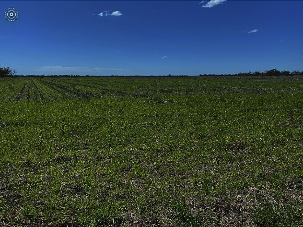 1195 Mercadool Road WALGETT 10