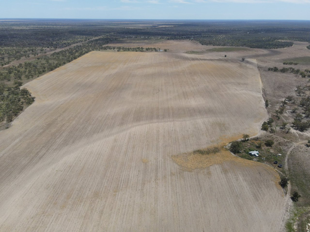 1195 Mercadool Road WALGETT 15