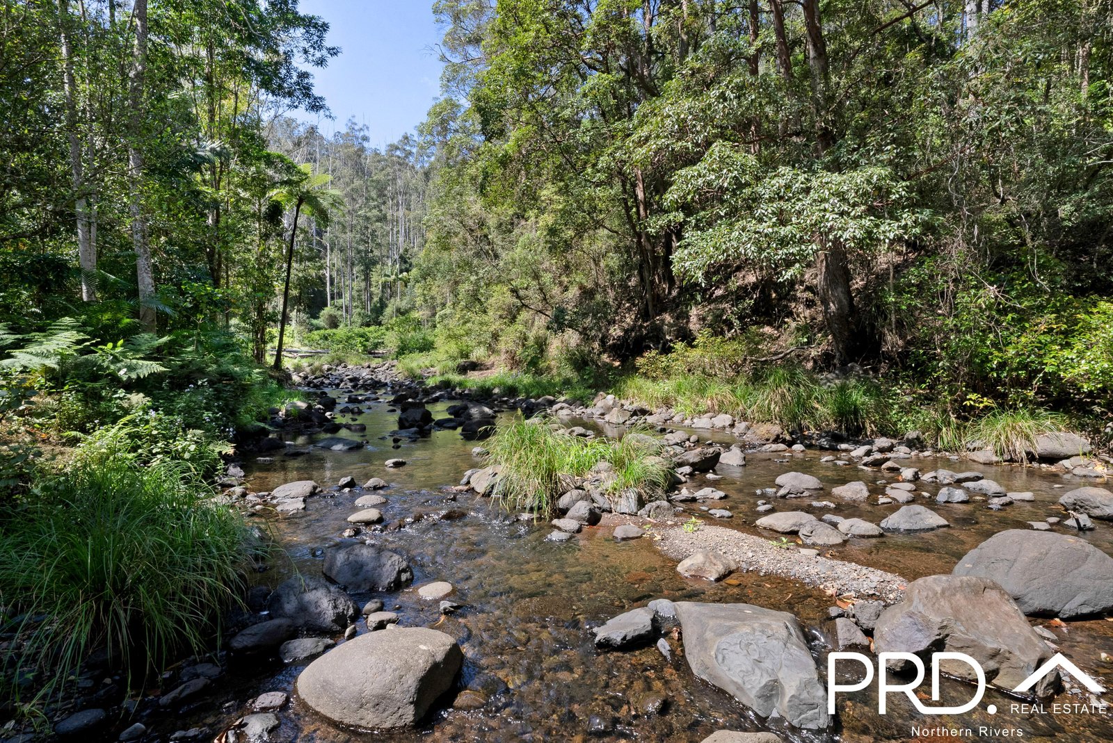1198 Horseshoe Creek Road UPPER HORSESHOE CREEK 3