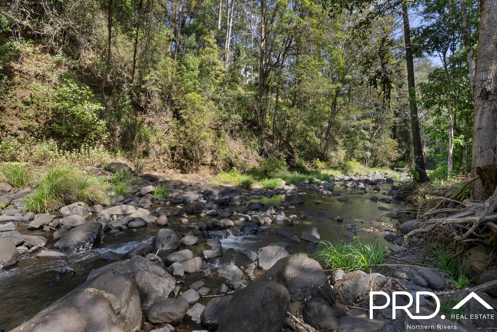 1198 Horseshoe Creek Road UPPER HORSESHOE CREEK 4