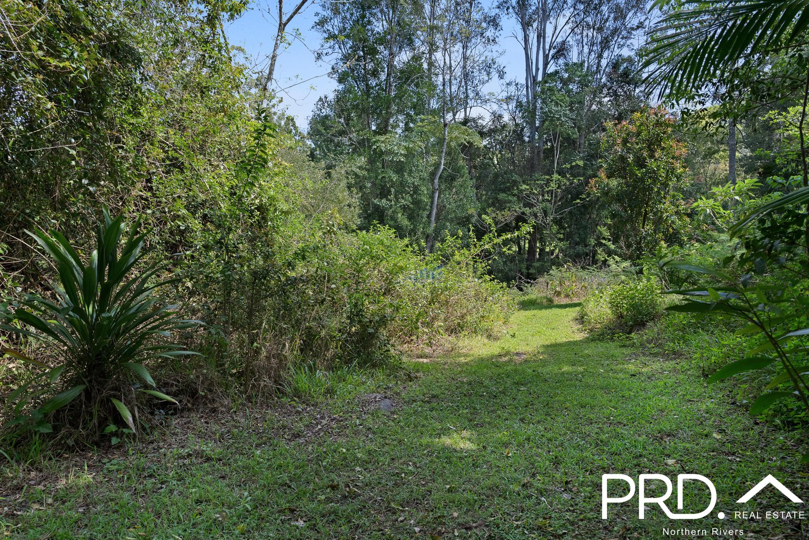 1198 Horseshoe Creek Road UPPER HORSESHOE CREEK 20